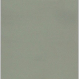 Muurverf Silver – Elegant & Neutraal
