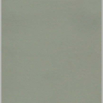 Muurverf Silver – Elegant & Neutraal