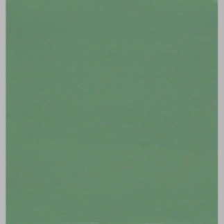 Muurverf Venetian Green – Elegant & Kalmerend