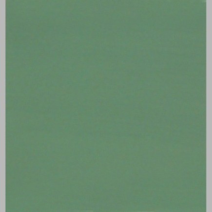 Muurverf Venetian Green – Elegant & Kalmerend