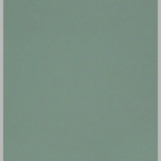 Muurverf Peyote Green – Zacht & Fris