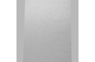 vliesbehang kant bloemen patroon wit glans