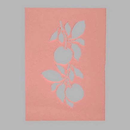 appels sjabloon transparant 15 x 21 cm afwasbaar