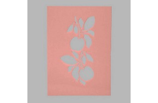 appels sjabloon transparant 15 x 21 cm afwasbaar