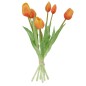 Bouquet de Tulipes Oranges Bouquet de Tulipes Oranges
