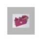 Workshop decoratief inpakken