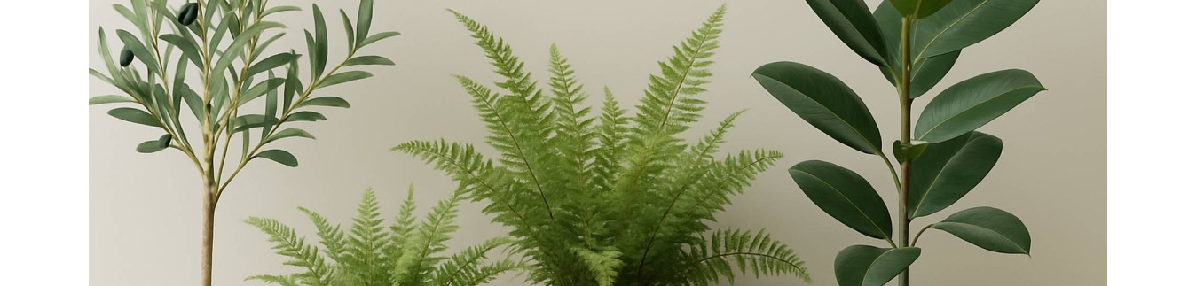 Silk Plants – Lifelike Greenery with Zero Maintenance